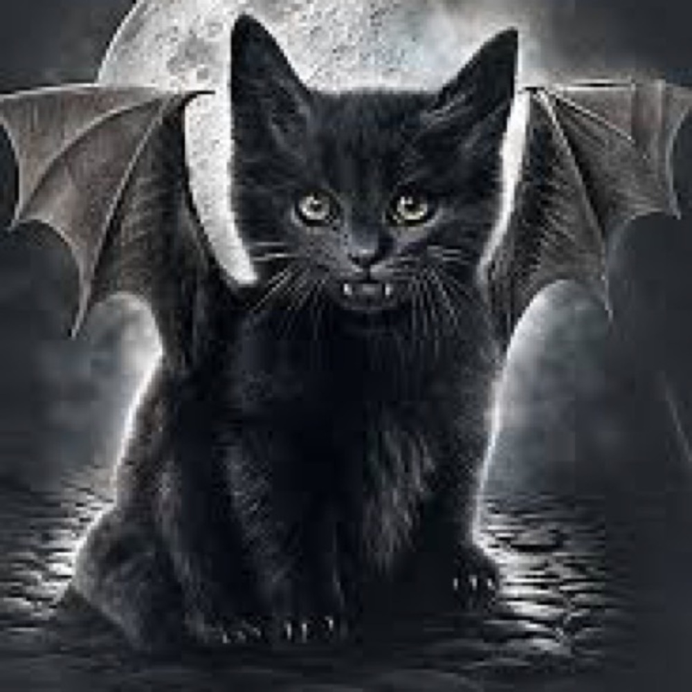 Meet your Posher, Angelina